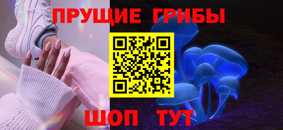 Псилоцибиновые грибы мицелий Видное